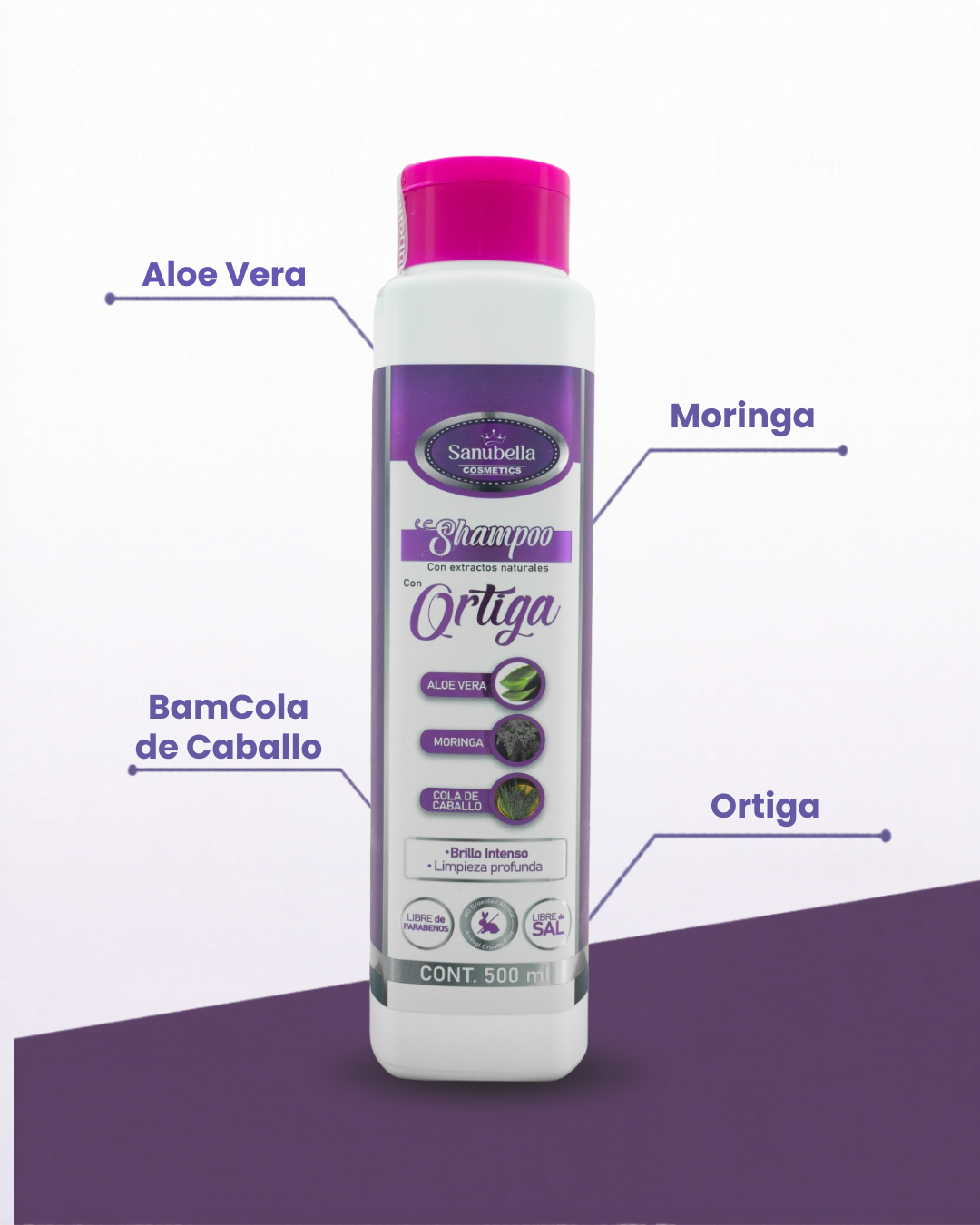 SHAMPOO CON ORTIGA